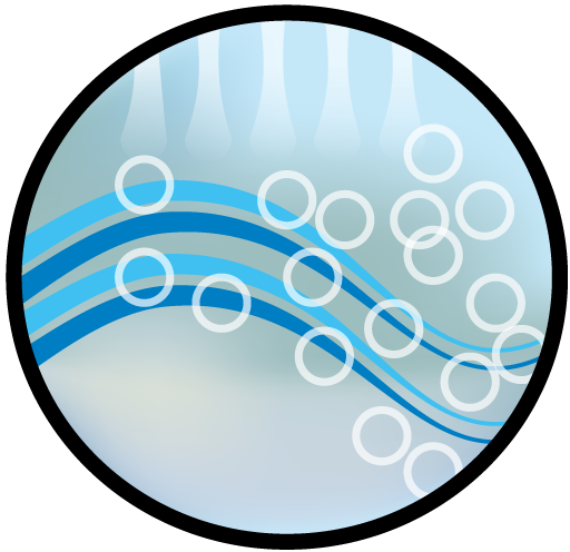 6 - Disinfection and Discharge