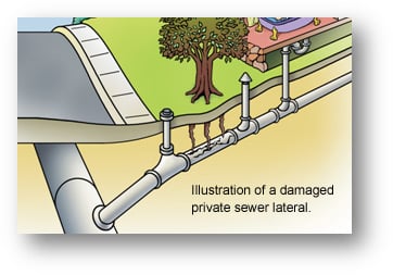 Illustration of a damaged private sewer lateral.