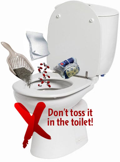 Pills, cat litter, flushable wiped going down the toilet - Don't toss it in the toilet!